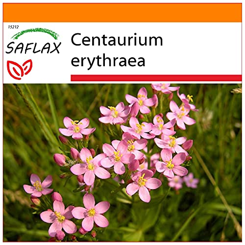 SAFLAX - Garden in the Bag - Heilpflanzen - Tausendgüldenkraut - 250 Samen - Mit Anzuchtsubstrat im praktischen, selbst aufstellenden Beutel - Centaurium erythraea von Saflax