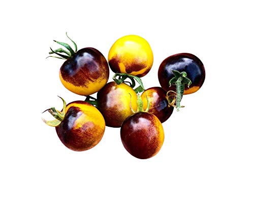 Tomate -Antho Gelb- 10 Samen -Super Lecker & Süß- *Sehr Gesund* von Samenchilishop (Immer nur einmal Versand)