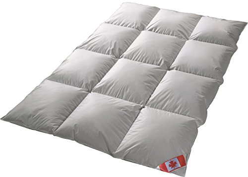 Canada extra warm Winter 8-cm Hochsteg Daunen Kassettenstegbett Daunenbett Canada 100% Daune 100% Natur Daunendecke 240x220 cm direkt vom Bettenfachgeschäft von Schäfer