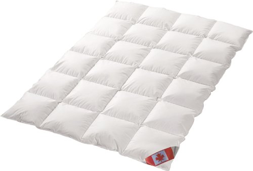 Schäfer Ganzjahres Kassettenstegbett Polaris Premium canadische Daunen Daunenbett 100% Natur Gänsedaunenbett (155x220) von Schäfer