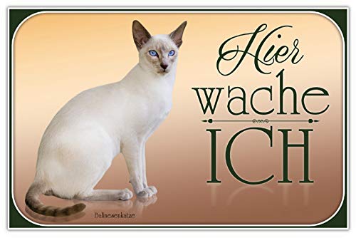 Schatzmix wache Ich BalinesenKatze Metallschild Wanddeko 20x30 cm tin Sign Blechschild, Blech, Mehrfarbig von Schatzmix