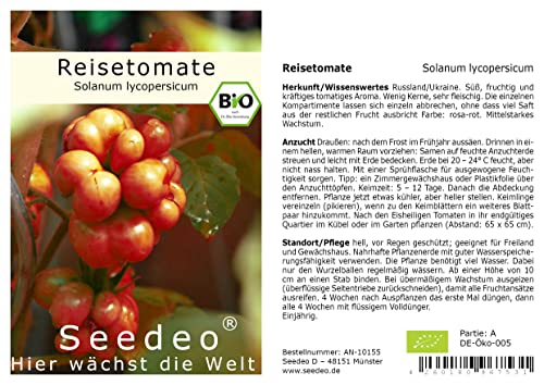 Seedeo® Reisetomate (Solanum lycopersicum) 10 Samen BIO von Seedeo
