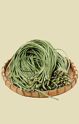 Seedeo® Spaghettibohne Metro (Vigna unguiculata) ca. 20 Samen BIO von Seedeo