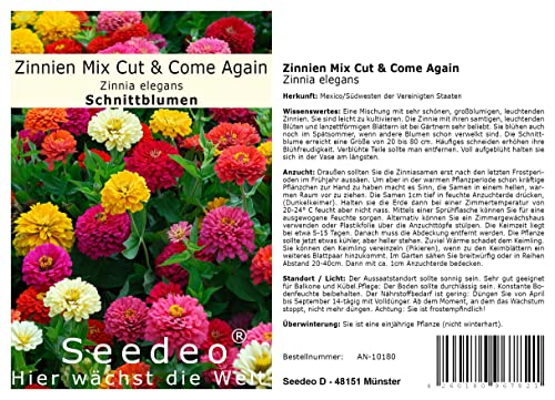 Seedeo® Zinnien Mischung Mix Cut & Come Again ca. 150 Samen von Seedeo
