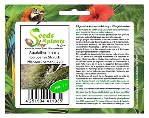 Stk - 10x Aspalathus linearis Rooibos Tee Strauch Pflanzen - Samen B720 - Seeds & Plants Shop by Ipsa von Seeds & Plants Shop by Ipsa