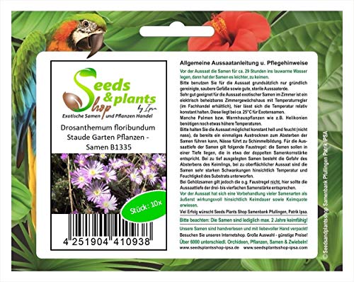 Stk - 10x Drosanthemum floribundum Staude Garten Pflanzen - Samen B1335 - Seeds & Plants Shop by Ipsa von Seeds & Plants Shop by Ipsa