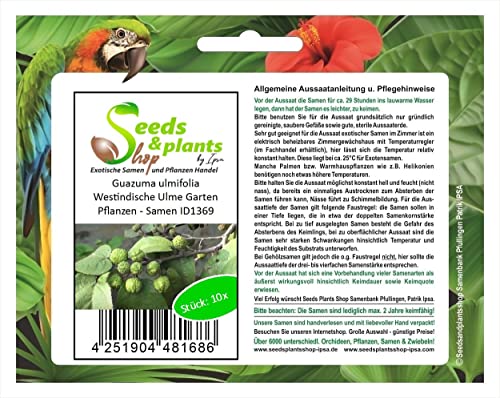 Stk - 10x Guazuma ulmifolia Westindische Ulme Garten Pflanzen - Samen ID1369 - Seeds & Plants Shop by Ipsa von Seeds & Plants Shop by Ipsa