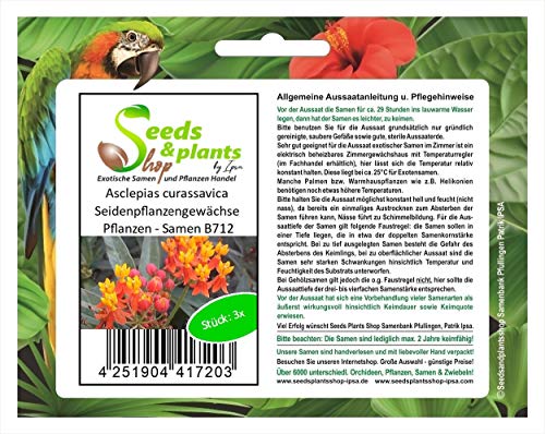 Stk - 3x Asclepias curassavica Seidenpflanzengewächse Pflanzen - Samen B712 - Seeds & Plants Shop by Ipsa von Seeds & Plants Shop by Ipsa