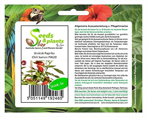 Stk - 5x Grekisk Paprika Samen Saatgut Küche Garten Pflanze Chili samen PW20 - Seeds & Plants Shop by Ipsa von Seeds & Plants Shop by Ipsa