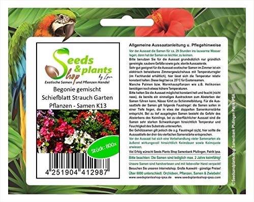 Stk - 800x Begonie gemischt Begonia semperflorens Strauch Garten Pflanzen - Samen K13 - Seeds & Plants Shop by Ipsa von Seeds & Plants Shop by Ipsa