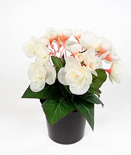 Begonie 20cm weiß im Topf JA Kunstpflanzen Begonienbusch künstliche Blumen Pflanzen Kunstblumen von Seidenblumen Roß