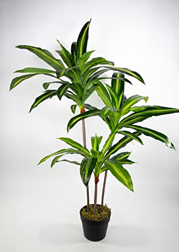 Dracena/Drachenbaum 100cm ZJ künstliche Palme Palmen Kunstpalmen Kunstpflanzen Dekopalmen von Seidenblumen Roß