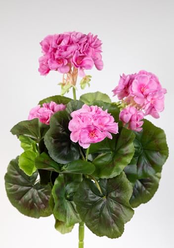 Seidenblumen Roß Geranie 32cm -ohne Topf- LM Kunstpflanzen Kunstblumen künstliche Blumen Pflanzen Pelargonium … (Rosa) von Seidenblumen Roß