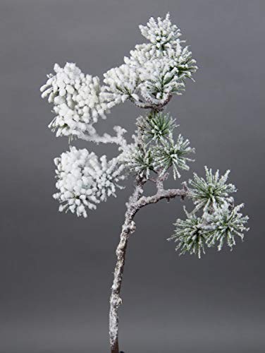 Seidenblumen Roß Japanischer Pinienzweig mit Schnee 36cm JA Kunstzweig künstlicher Tannenzweig künstliche Pinie Tanne von Seidenblumen Roß