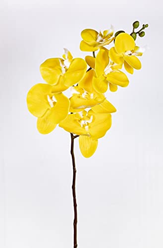 Orchideenzweig Real Touch 94cm ZJ Kunstblumen künstliche Orchidee Orchideen Blumen … (Gelb) von Seidenblumen Roß