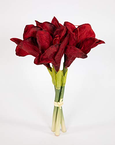 Seidenblumen Roß Amaryllisbund 35cm Bordeaux GA Kunstblumen Kunstpflanzen künstliche Amaryllis Blumen Ritterstern von Seidenblumen Roß