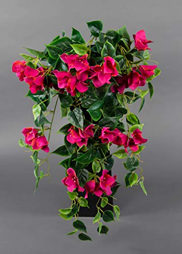 Seidenblumen Roß Bougainvillearanke 65cm Fuchsia-pink ZF künstliche Bougainvillea Ranke Blumen Pflanzen Kunstpflanzen von Seidenblumen Roß