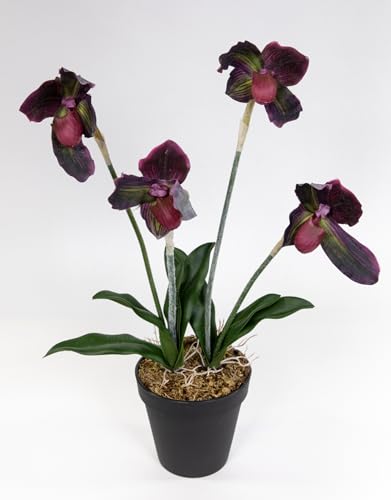 Seidenblumen Roß Orchidee Frauenschuh 42cm FT künstliche Blumen Pflanzen Kunstpflanzen Kunstblumen (Bordeaux) von Seidenblumen Roß