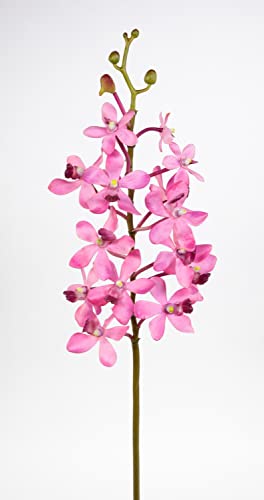 Seidenblumen Roß Orchideenzweig Vanda 70cm rosa-pink CG Kunstblumen künstliche Orchidee Vanda Blumen Pflanzen von Seidenblumen Roß