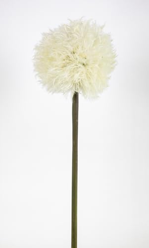 Seidenblumen Roß Pusteblume 88cm CG Kunstblumen künstliche Dandelion Taraxacum Blumen (Weiß) von Seidenblumen Roß