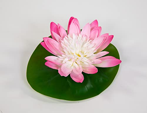 Seidenblumen Roß Seerose 16x14cm JA Kunstblumen künstliche Blumen Rose Schwimmrose Nymphaea (Rosa-Weiß) von Seidenblumen Roß