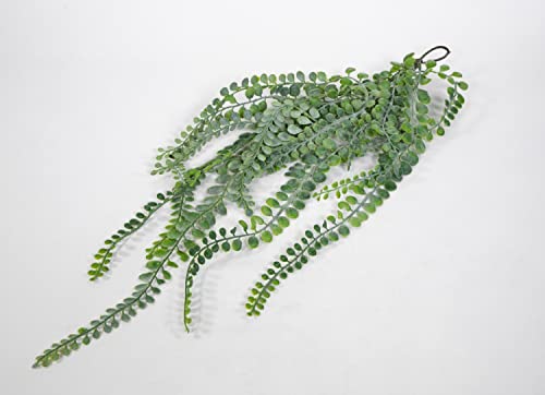 Seidenblumen Roß Sukkulentenhänger Rundblatt 60cm DP Kunstpflanzen künstliche Pflanzen Ranken von Seidenblumen Roß