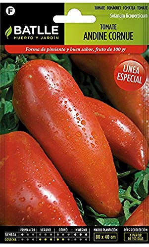 Batlle Gemüsesamen - Tomate Andine Cornue - Los Andes (Samen) von Semillas Batlle