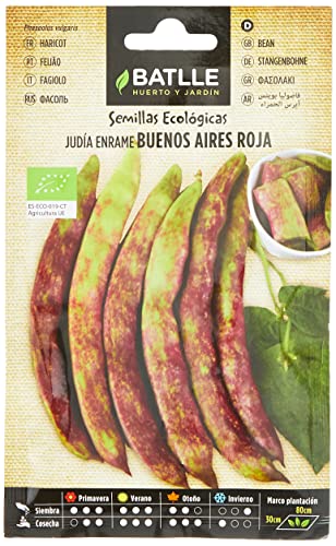 Bio Samen - Rote Rankbohnen Buenos Aires (20-50 Samen - Bio) von Semillas Batlle