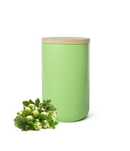 Sendez Vorratsdose Grün aus Porzellan mit Holzdeckel Vorratsbehälter Dose Vorratsglas Aufbewahrungsdose von Sendez