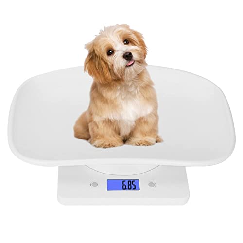 Shoze Digital Haustier-Skala Tierwaage mit LCD-Display für Haustiere und Küche zur Messung von Kleinen Katzen Hunden Futter Kapazität bis zu 10 kg von Shoze