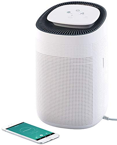 Sichler Haushaltsgeräte Luftentfeuchter Alexa: 2in1-Luftreiniger & Entfeuchter, für Amazon Alexa & Google Assistant (Luftentfeuchter App Steuerung, Luftentfeuchter und Reiniger) von Sichler Haushaltsgeräte