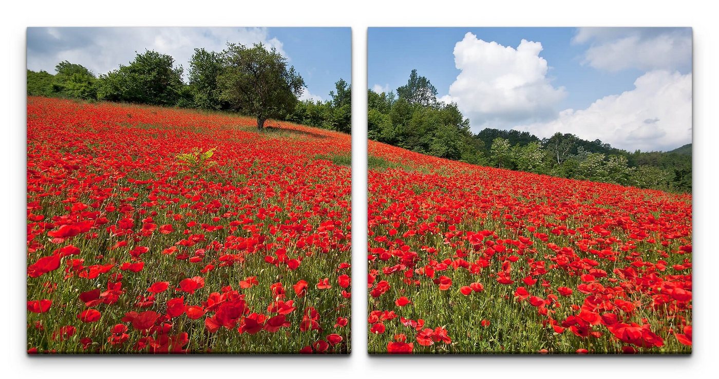 Sinus Art Leinwandbild Blumenwiese Wandbild in verschiedenen Größen von Sinus Art