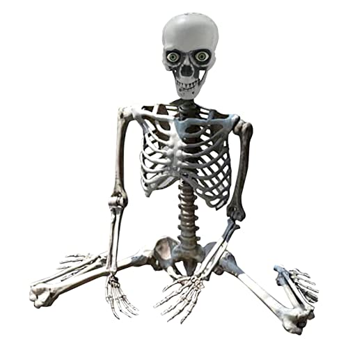 Halloween- Requisiten-Deko Halloween- lebensgroß Ganzkörper bewegliche Gelenke Skelette Mensch in voller Größe Hand Leben Körper Anatomie Modell Halloween-Dekorationen im Freien (A, One Size) von SkotO