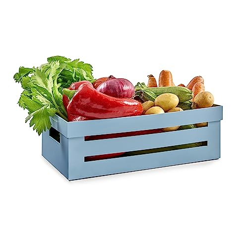 Snips 000912 Ordnungsboxen Küche | Schubladen Organizer | große Kiste | 5 l | Farbe Hellblau | Made in Italy | BPA-frei, PS von Snips