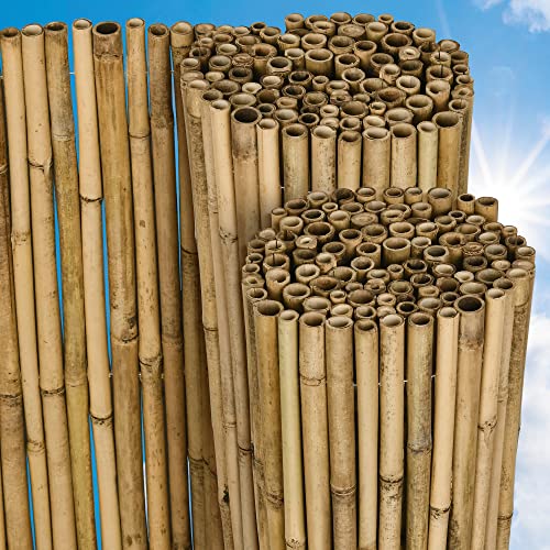 Sol Royal Bambus Sichtschutz Zaun 90x250 cm SolVision B38 - langlebiger & witterungsbeständiger 100% Bambus Sicht Schutz Indoor & Outdoor für Balkon, Terrasse, Garten - Windschutz & Sonnenschutz von Sol Royal