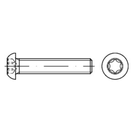 Linsenschraube ISO 7380-1 Stahl 10.9 galZn T-Profil M6 x 16mm von Sonstige