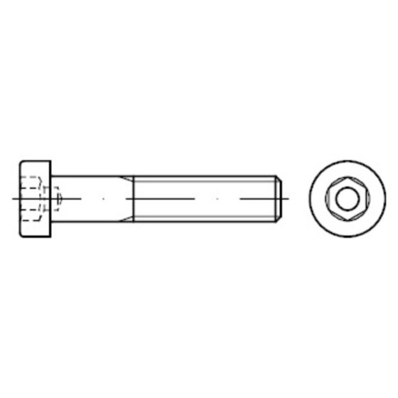 Zylinderschraube mit Innensechskant DIN 6912 Stahl 8.8 galv.verz. M14x 40 von Sonstige