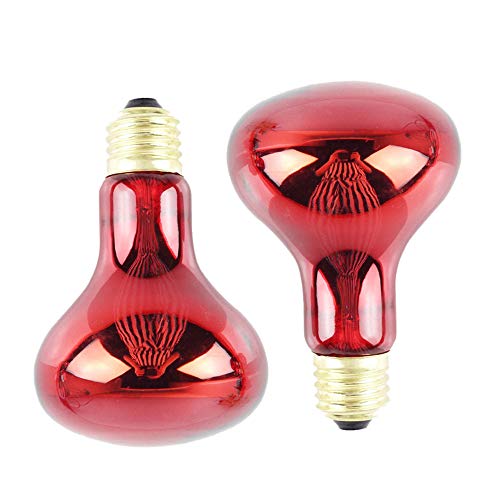 Soymilk 100W 2 Pack Infrarot WäRme Lampe GlüHbirne Rot Licht GlüHbirne für Eidechsen Bartagamen ChamäLeons Schlangen Reptilien & Amphibien 220V von Soymilk