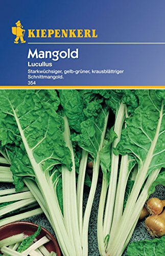 Sperli 354 Gemüsesamen Mangold Lucullus, grün von Sperli