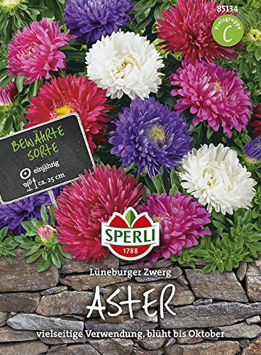 Sperli 85134 Aster Lüneburger Zwerg, welkefreie Mischung (Asternsamen) von Sperli