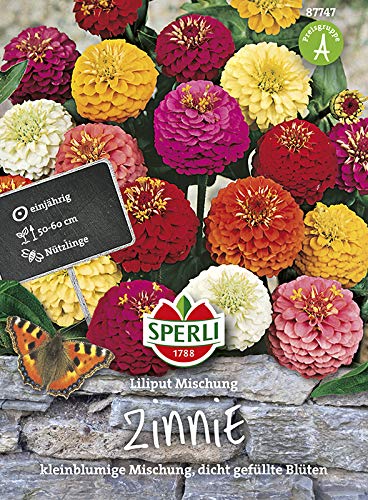 Sperli 87747 Zinnie Liliput Mischung (Zinniensamen) von Sperli