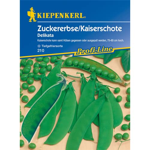 Sperli Gemüsesamen Zuckererbsen Delikata, grün von Sperli