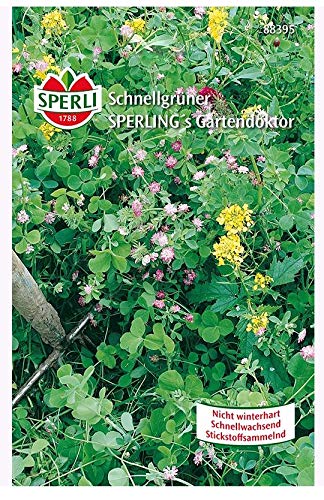 Sperli Schnellgrüner 250 g für 50 m� von Sperli