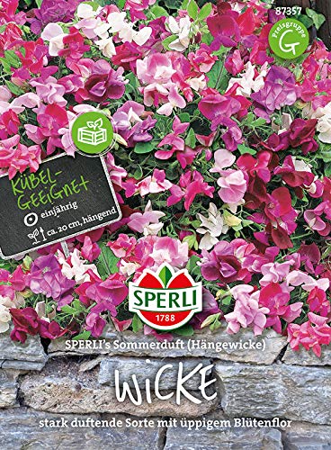 Wicke Sperling's Sommerduft von Sperli