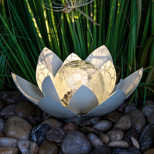 Spetebo LED Solar Lotusblüte mit Crackleglas Kugel - 25 x 11 cm - Deko Kugelleuchte für den Garten - Outdoor Gartenkugel Dekoleuchte Lotus Solarlampe Gartendeko Bruchglas Design von Spetebo