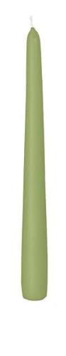 Spitzkerzen Pastell Grün/Aloe Vera 250 x 25 mm, Inhalt 50 Stück im günstigen Gastro Pack von Spitzkerzen