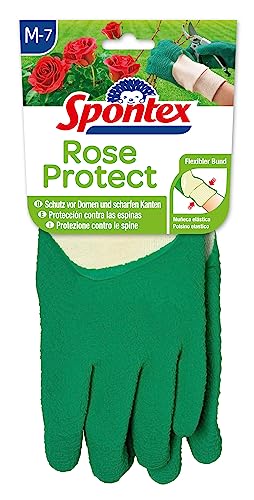 Spontex Rose Protect Gartenhandschuhe, extra robust für Dornen und Hecken, mit Naturlatexbeschichtung, Größe M, 1 Paar von Spontex