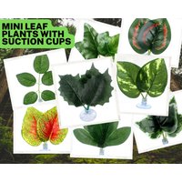 Mini-Blattpflanzen Mit Saugnapf - Seltene Kunstpflanzen Seidentuch-Materialien Ungiftig Und Geruchlos Wasserfestes Material von StargazerExotics