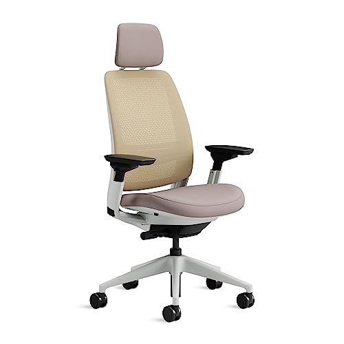 Steelcase Series 2 Ergonomischer Bürostuhl mit LiveBack Lumbalstütze, 4D-Armlehnen, anpassbarer Kopfstütze Linse von Steelcase