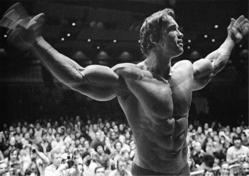 Stukk Arnold Schwarzenegger Conquer Bodybuilder Poster, A4, 210 x 297 mm von Stukk